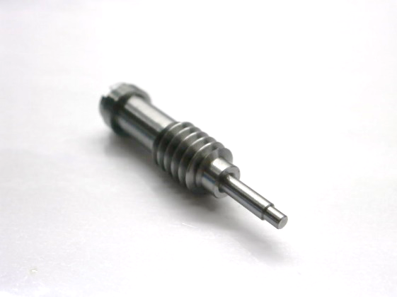Worm Screw