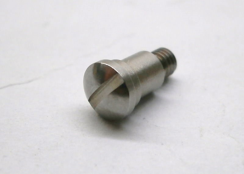 Slotted Pan Head Special Screw